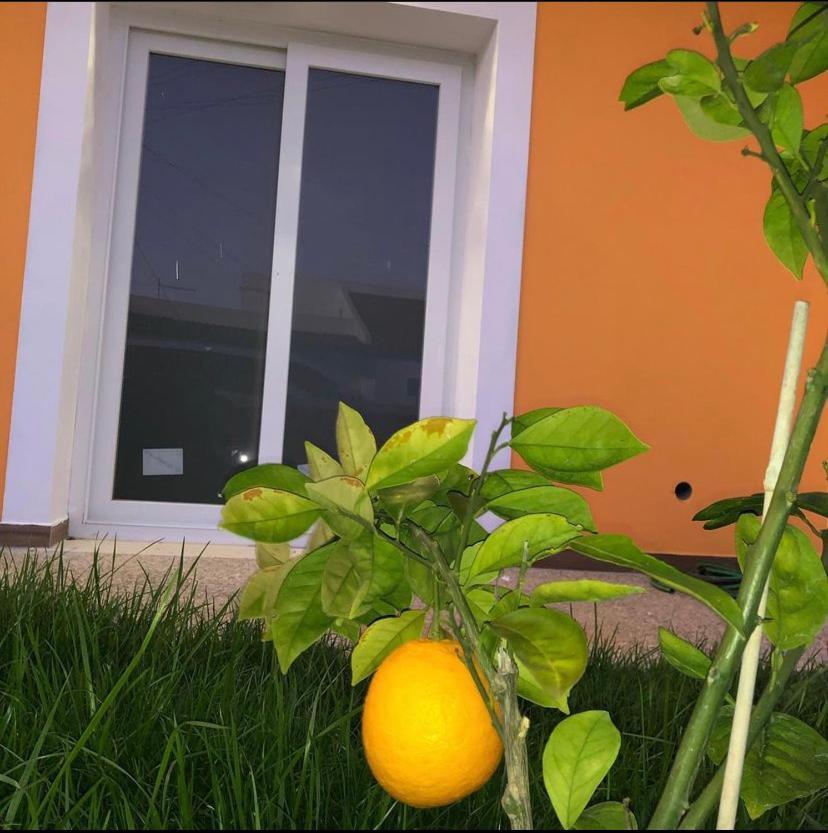 סאגרש Orange Guest House מראה חיצוני תמונה