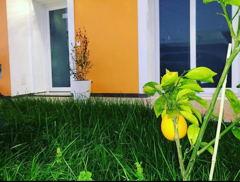 סאגרש Orange Guest House מראה חיצוני תמונה